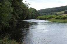 River Cree