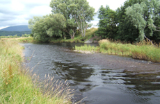 Willow Pool